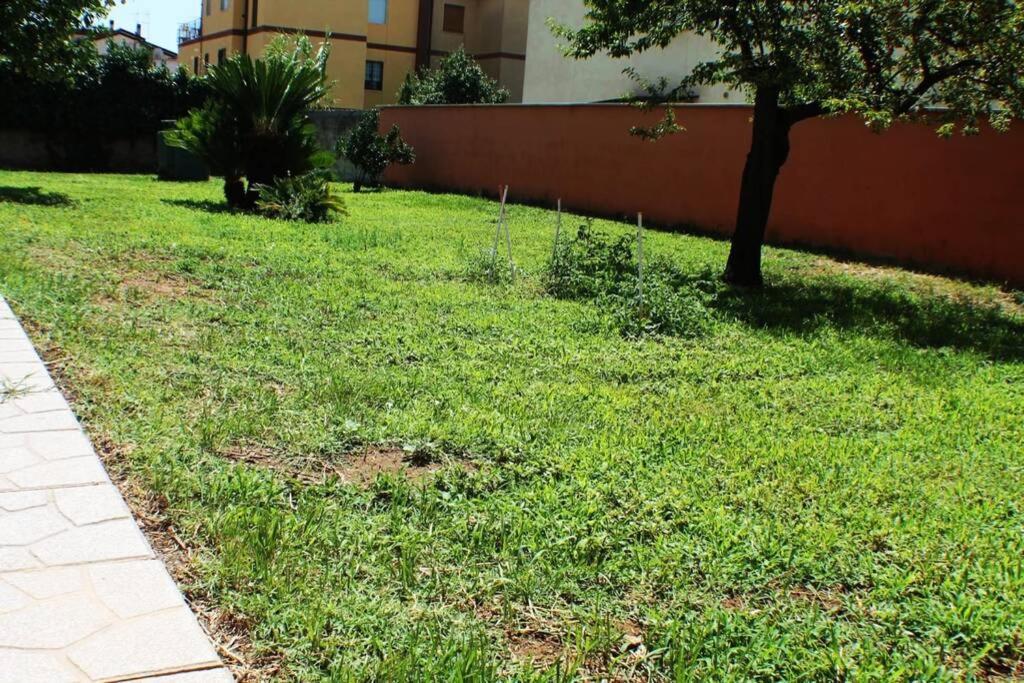 Camera Confortevole Tra Roma E Ostia Ачилия Екстериор снимка